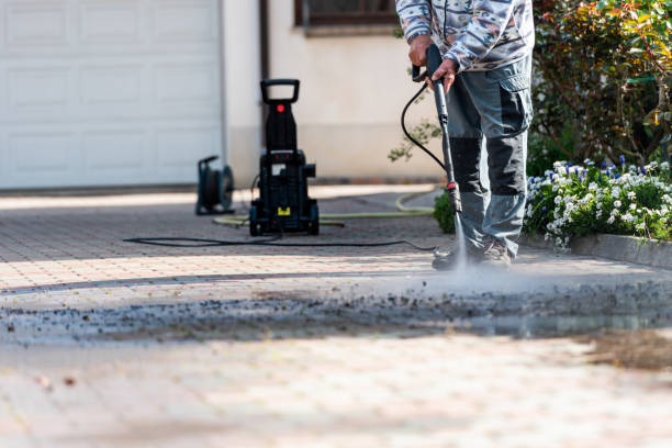 Best House Pressure Washing  in Seneca, IL