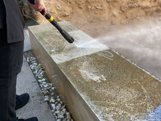 Best Local Pressure Washing Services  in Seneca, IL