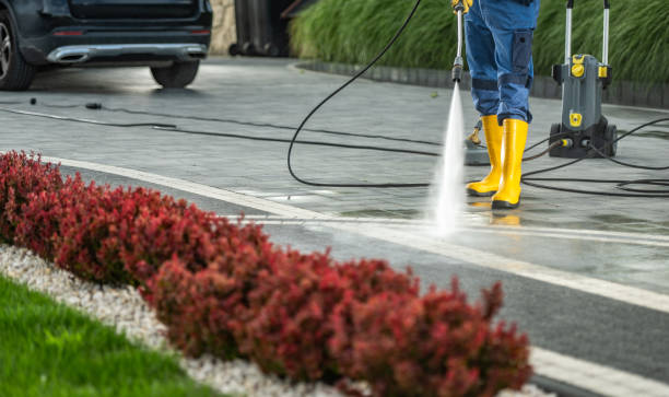 Best Exterior Home Cleaning  in Seneca, IL