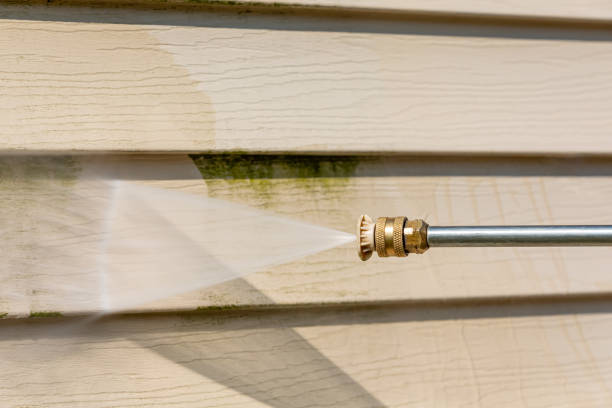 Best Affordable Power Washing  in Seneca, IL